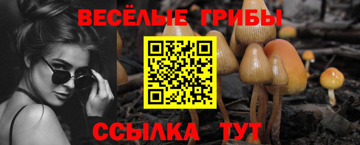 Бирск  купить наркотики сайты  Вход с VPN  Галлюциногенные грибы Psilocybe 